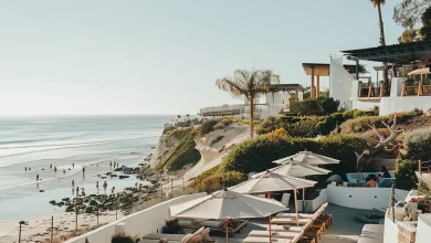 A view of White Sands La Jolla, a resort on a cliff overlooking the ocean with a beach, palm trees, lounge chairs, and umbrellas.